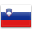 SLOVENIA Flag Icon