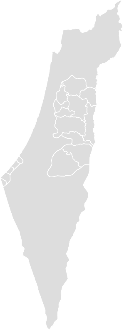 Color Blank Map of PALESTINE with Statistics