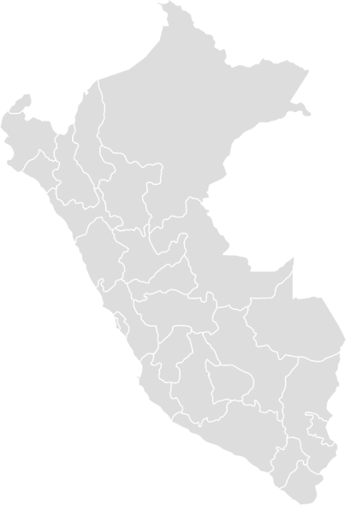 Color Blank Map of PERU with Statistics