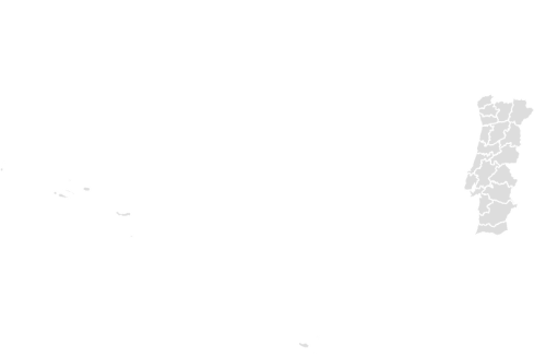 Color Blank Map of PORTUGAL with Statistics