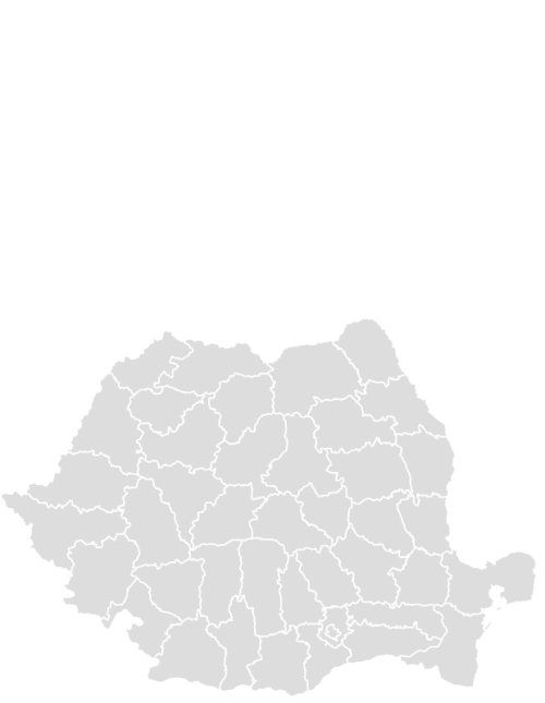Color Blank Map of ROMANIA with Statistics