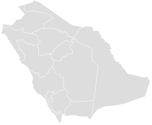 Color Blank Map of SAUDIARABIA with Statistics