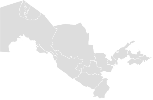Color Blank Map of UZBEKISTAN with Statistics
